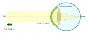 fonctionnement-de-l-oeil